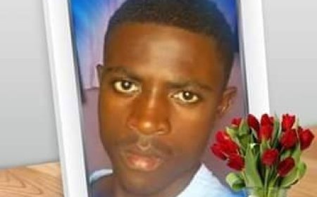 A Dor da Perda - O Poeta Solitário