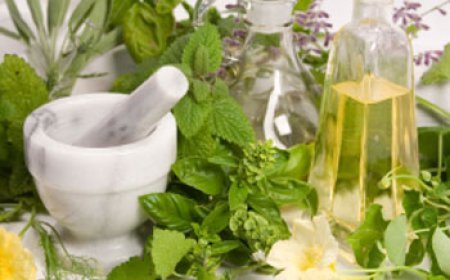 Remedios Caseiros para Combater a Gatrite