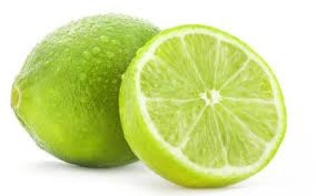 Conheça os Melhores Benefícios do limão