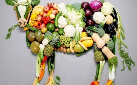 A falácia do não vegano verdadeiro