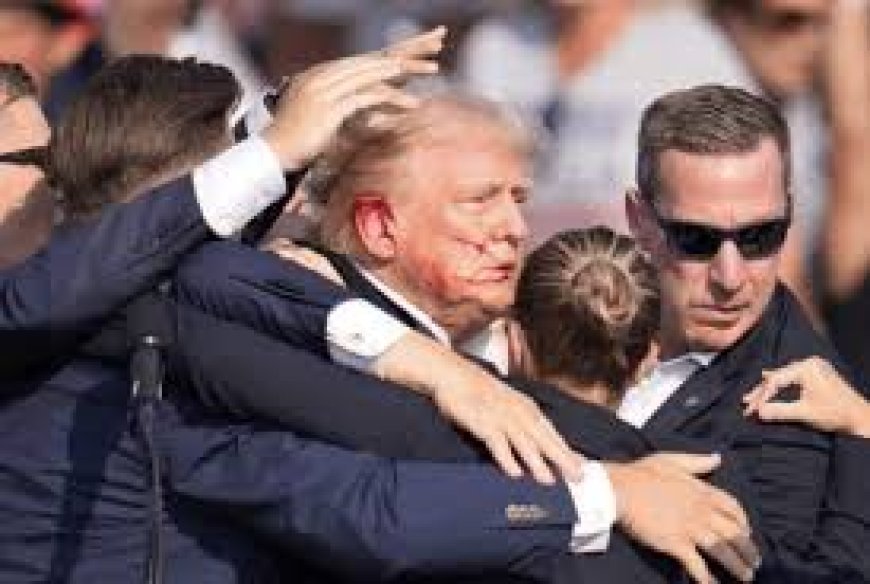 DONALD TRUMP: TENTANTIVA DE ASSASSINATO. ENTENDA TUDO